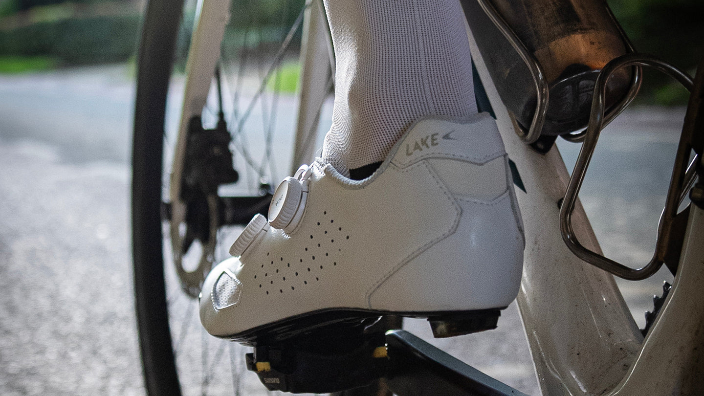 CX239 Blog Header